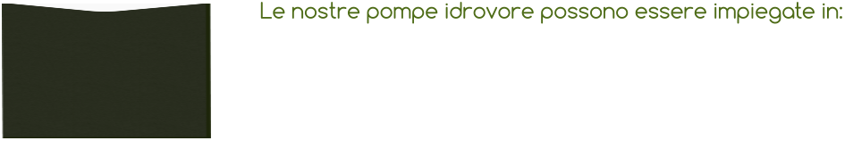 Le nostre pompe idrovore possono essere impiegate in: